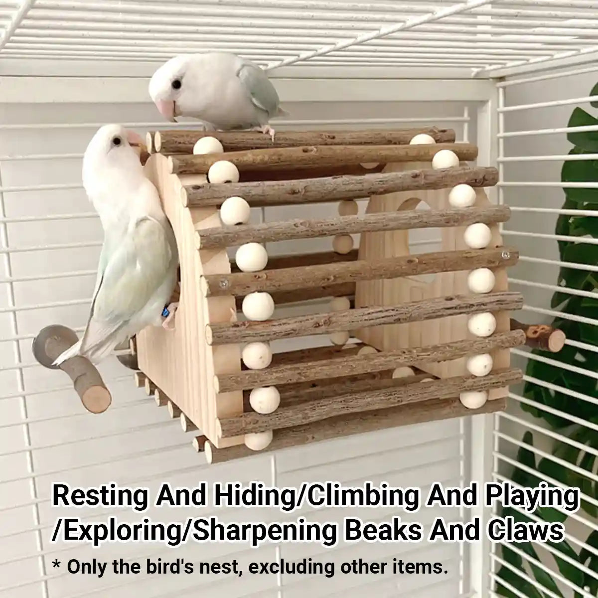 Wooden Bird House for Parrots and Lovebirds