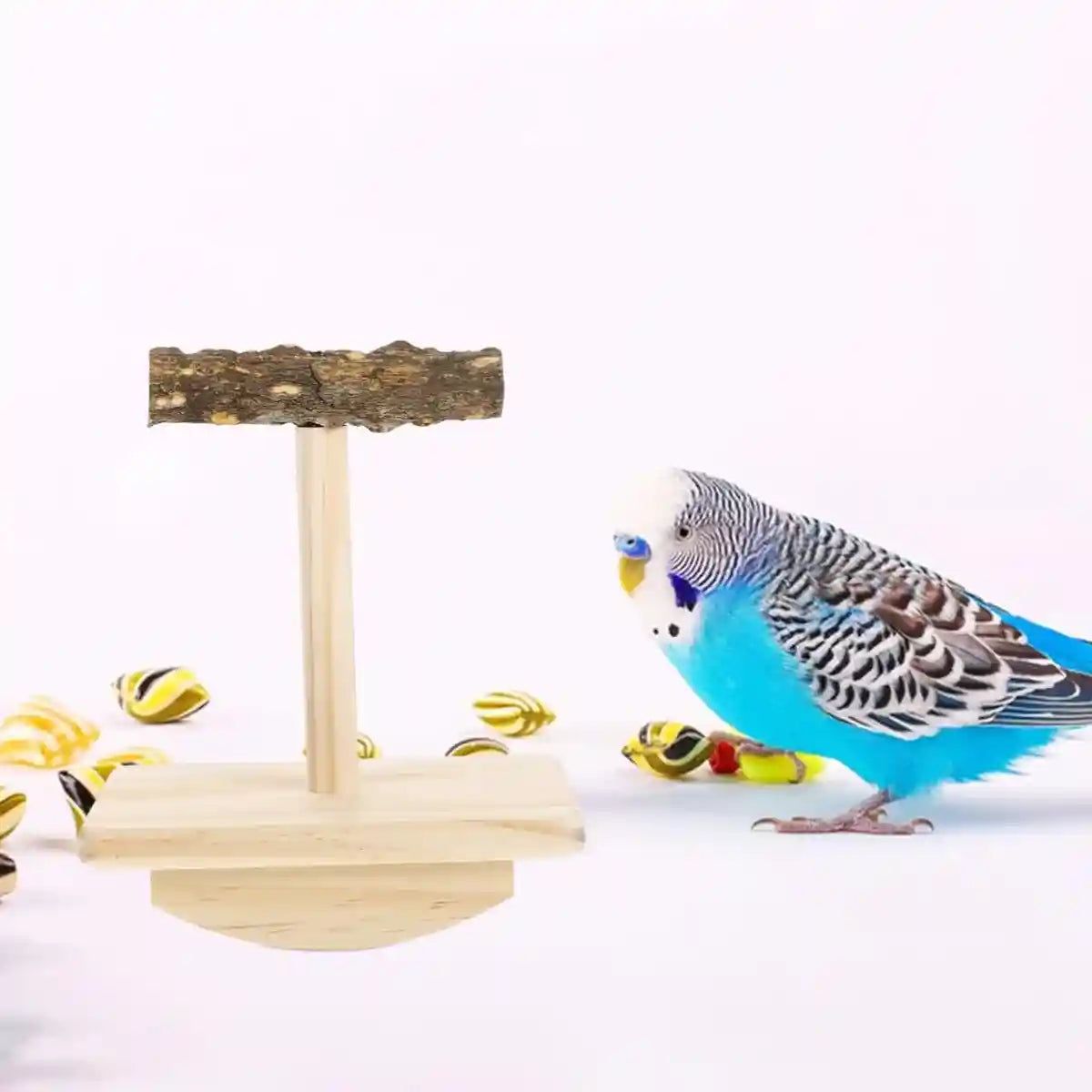 Natural Zanthoxylum Parrot Platform Stand for Claw Grinding & Resting