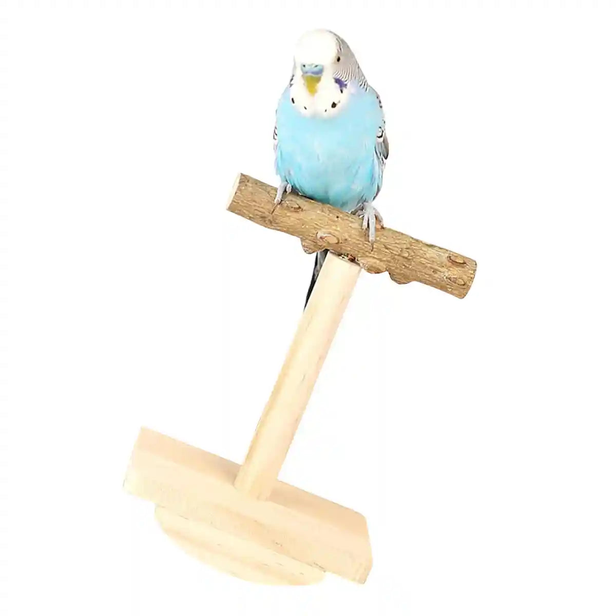 Natural Zanthoxylum Parrot Platform Stand for Claw Grinding & Resting