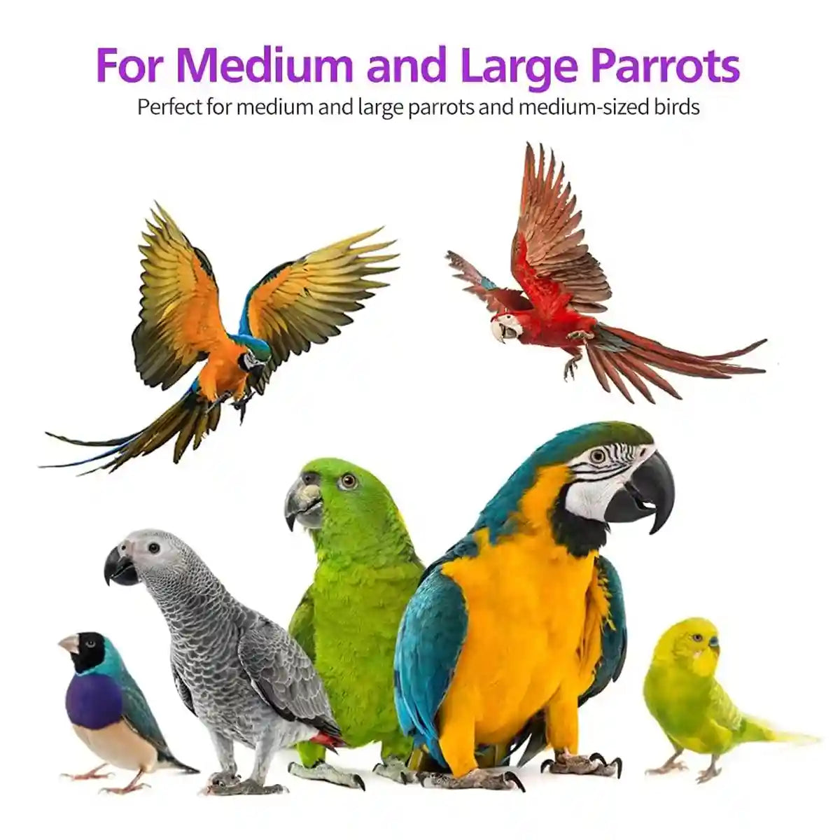 Multi-Layer Parrot Toy Wooden Hanging Pendant for Chewing and Climbing