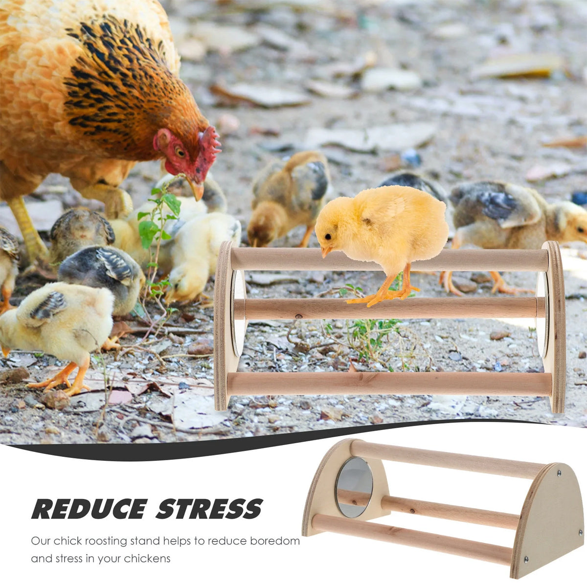 Parrot Stand Pet Chicken Wooden Mirror Small Stand Chick Stand