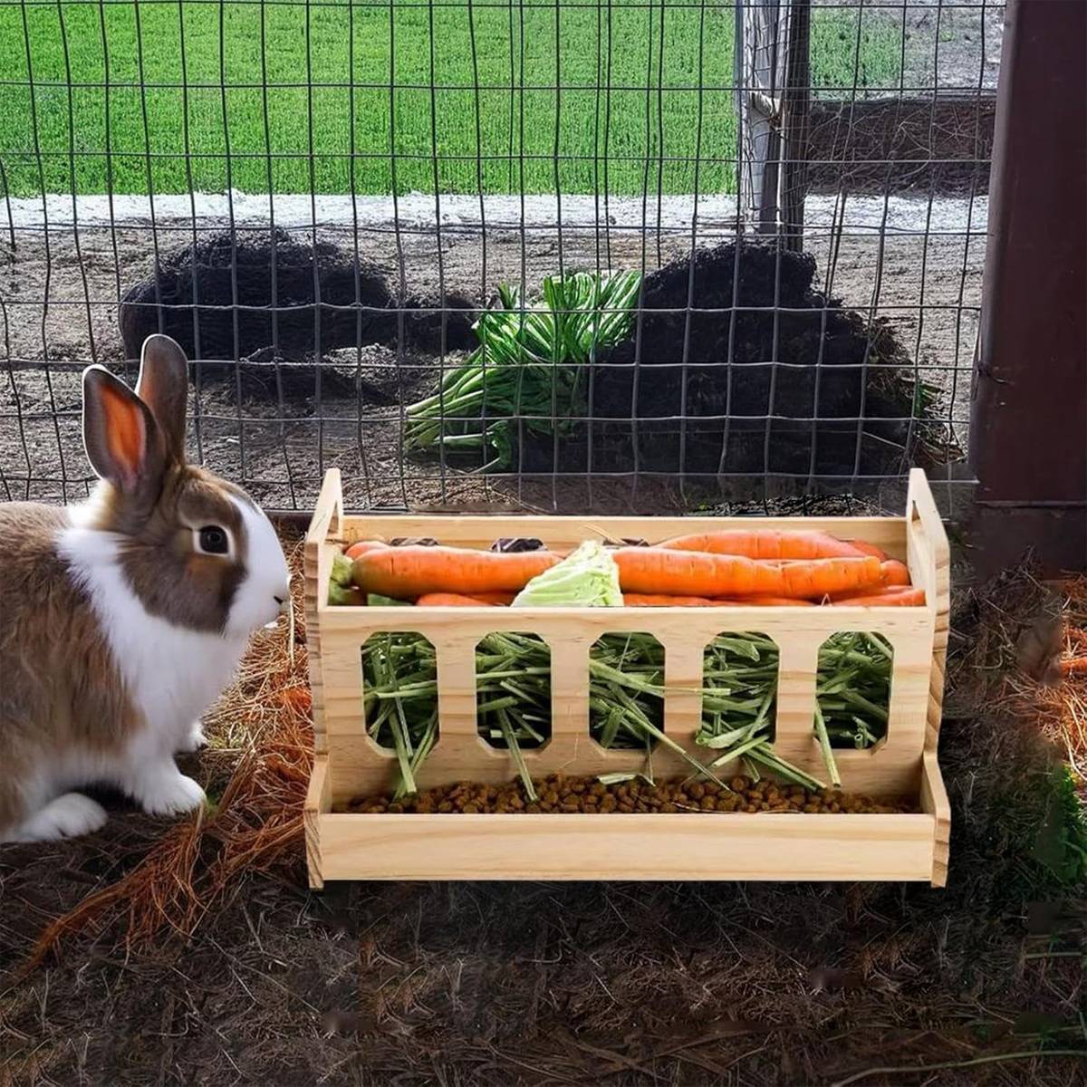 Wooden Rabbit Hutch Feeding Rack Solid Wood Carrot Holder