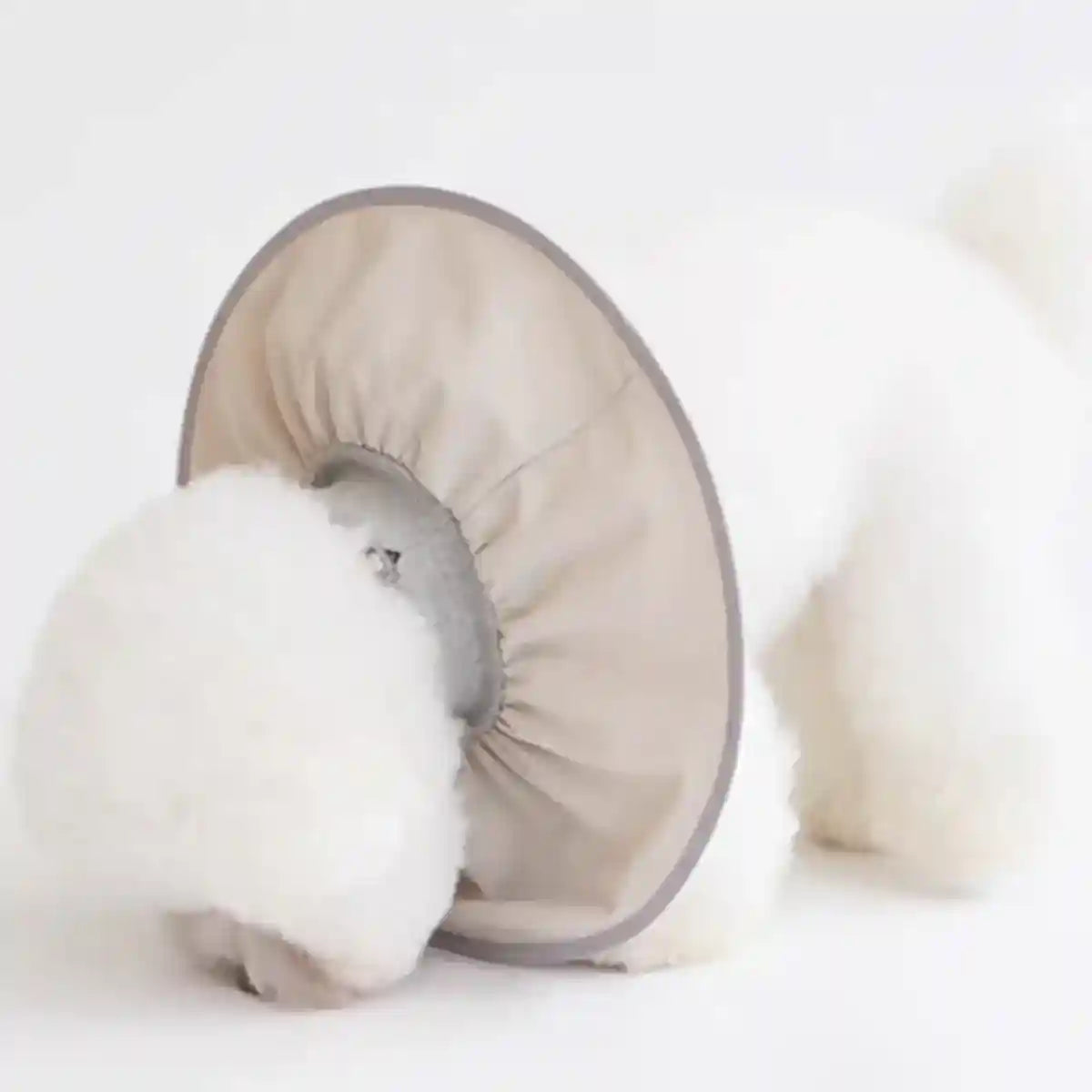 Adjustable Cat Recovery Collar for Grooming and Licking Prevention