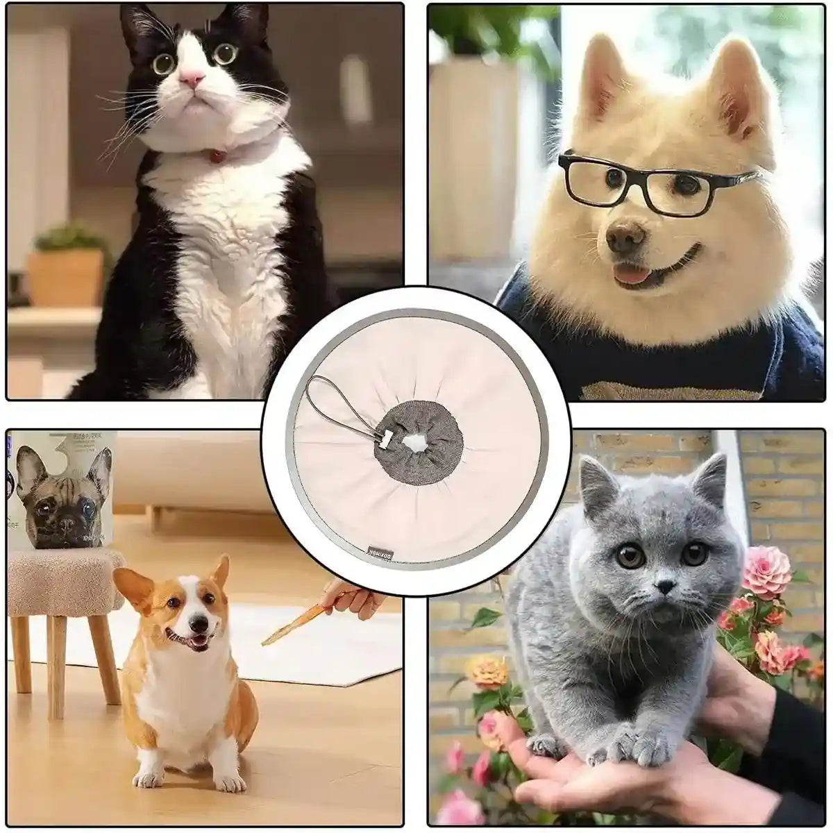 Adjustable Cat Recovery Collar for Grooming and Licking Prevention