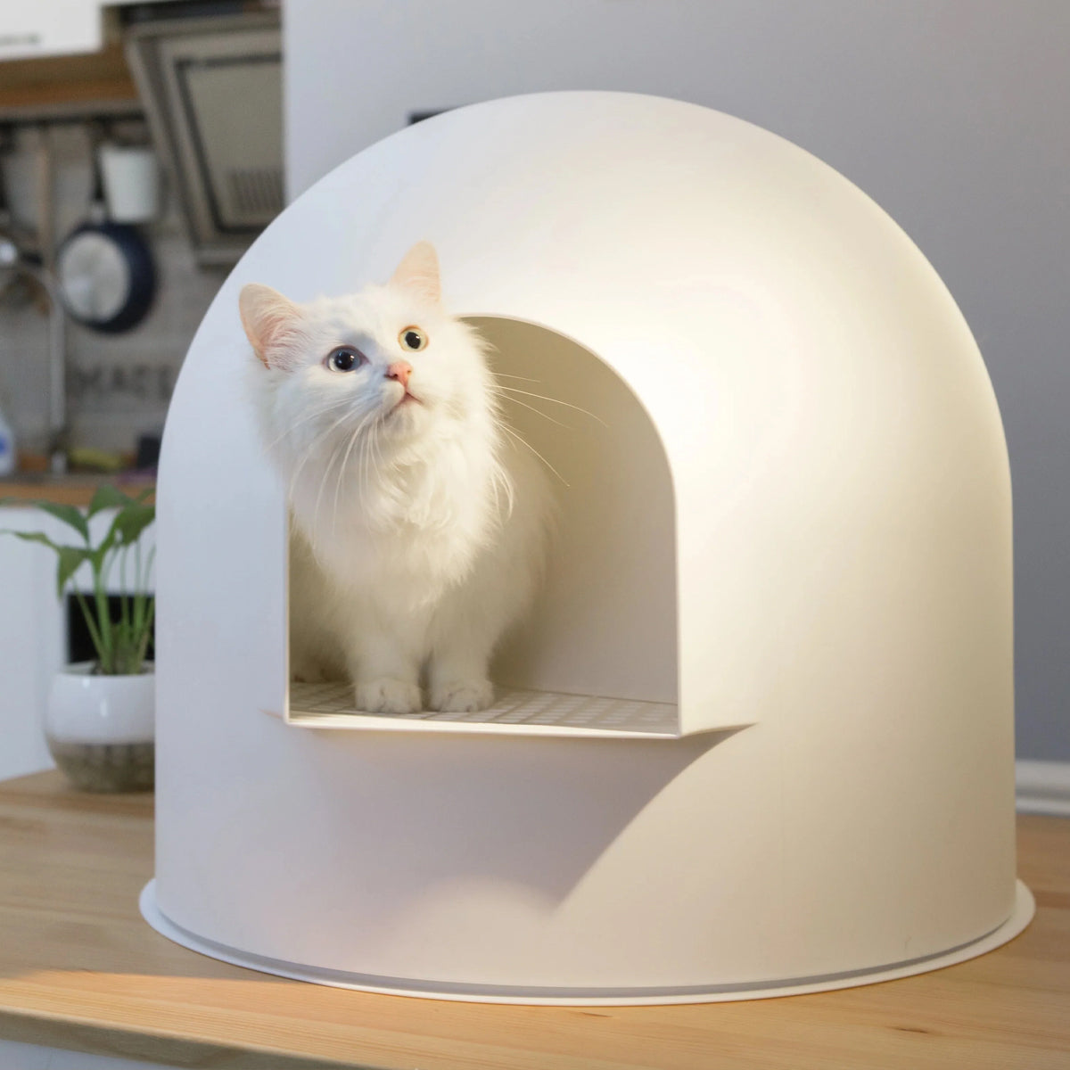 PIDAN Semi-Enclosed Cat Litter Box