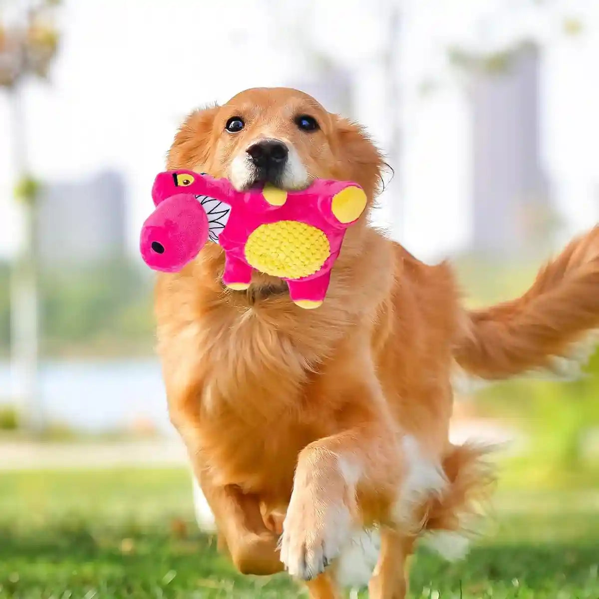 Plush Dinosaur Dog Chew Toy With Squeaker For All Sizes