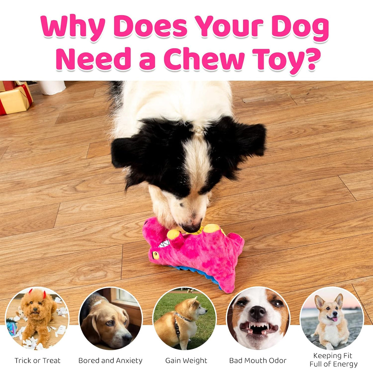 Plush Dinosaur Dog Chew Toy With Squeaker For All Sizes