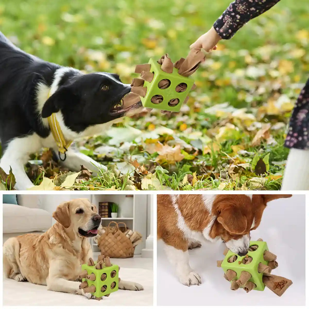 Interactive Dog Puzzle Toy Snuffle Cube