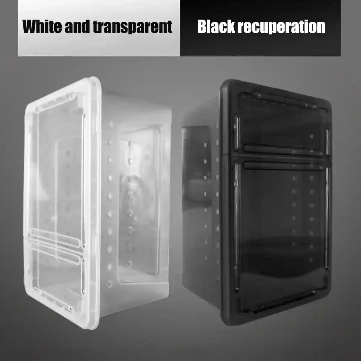 Reptile Breeding Box with Ventilation