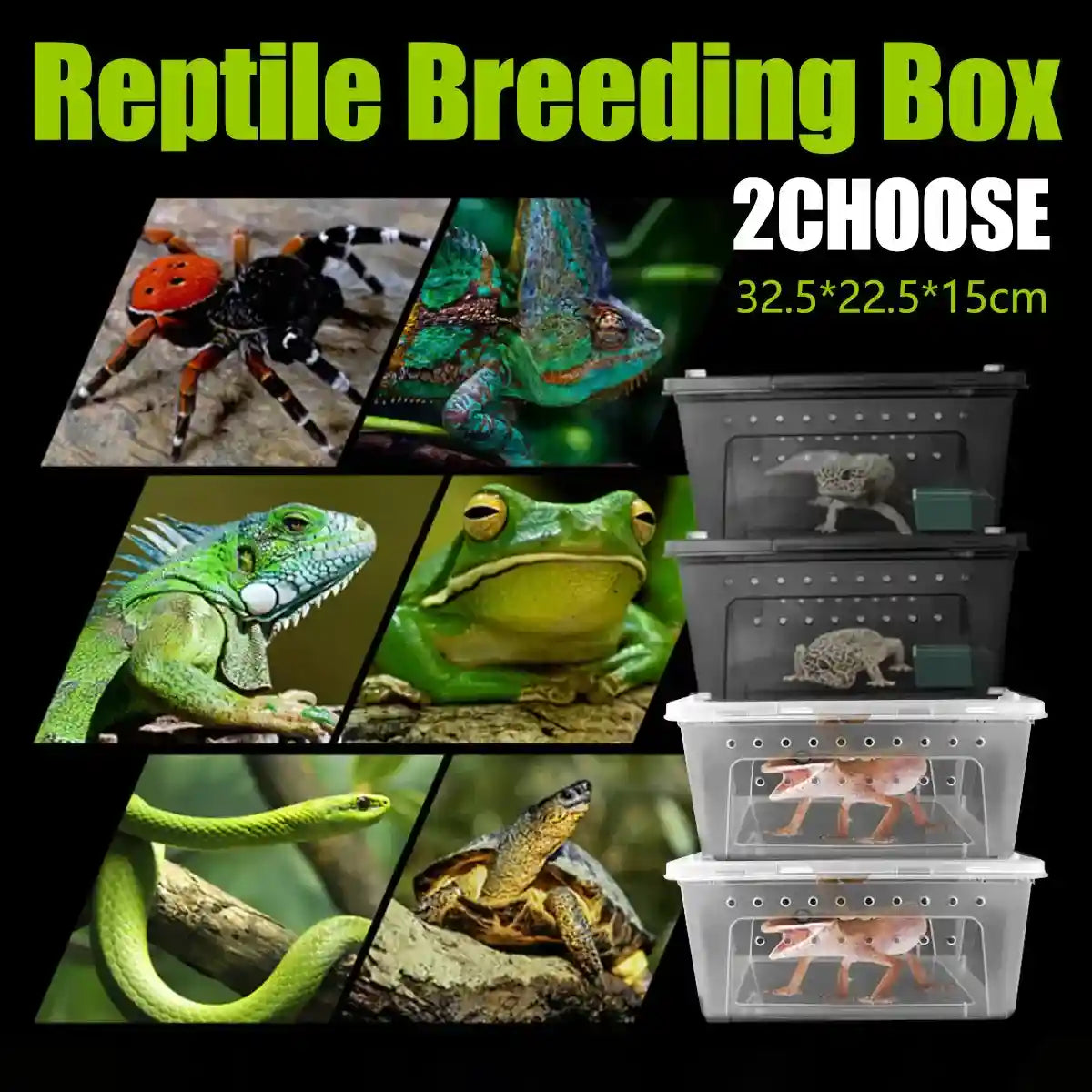 Reptile Breeding Box with Ventilation