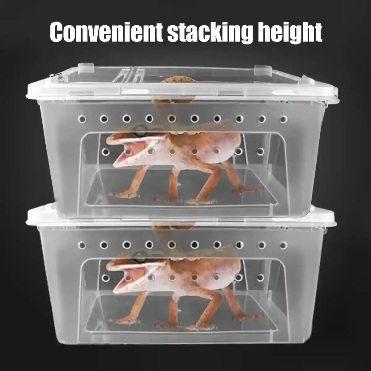 Reptile Breeding Box with Ventilation