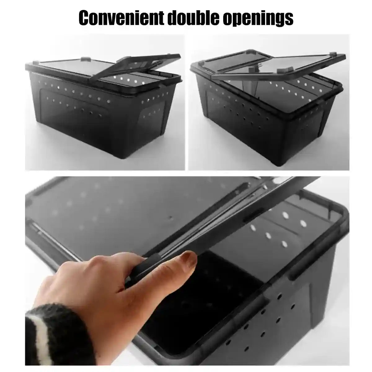 Reptile Breeding Box with Ventilation