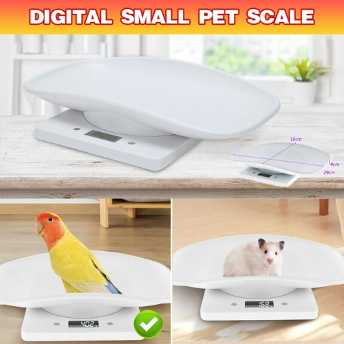 Digital Small Pet Scale 10kg for Cats, Birds & Small Animals