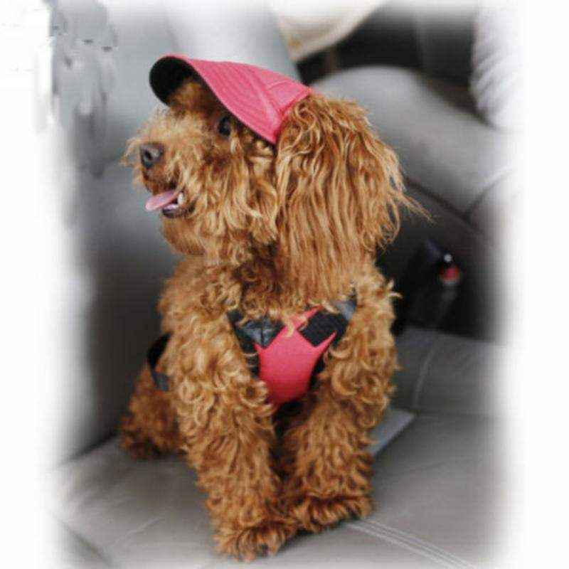 Adjustable Dog Sun Hat with UV Protection