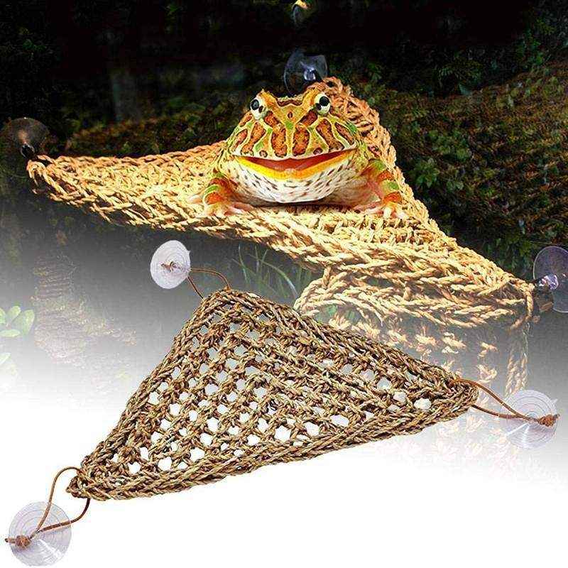 Reptile Bed - Create a Cozy Retreat for Your Reptile