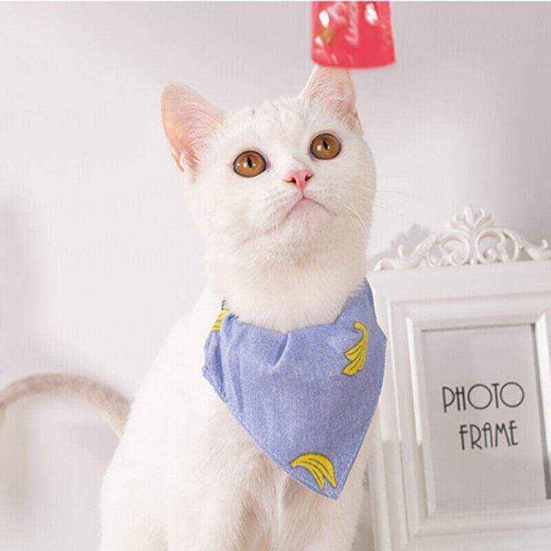Adjustable Pet Bandana Collar with Personalised Pattern
