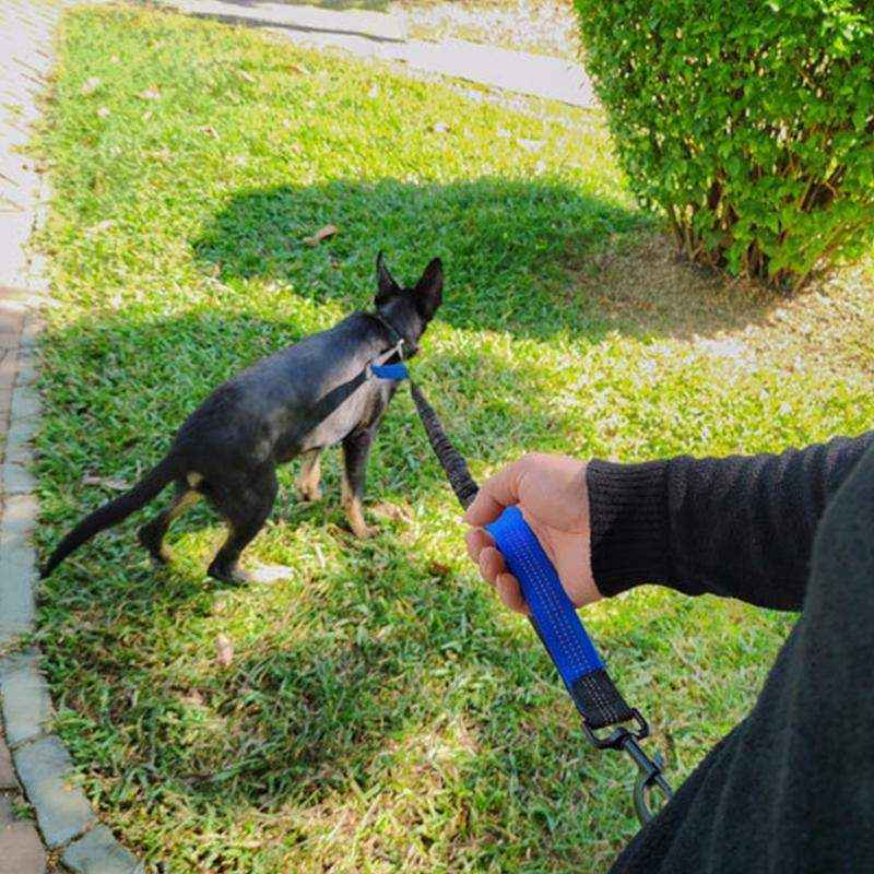 Dog Leash Lead With Waist Bag 4 Colours