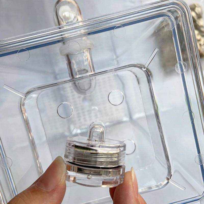 Stylish Self-Cleaning Mini Fish Tank with LED Light