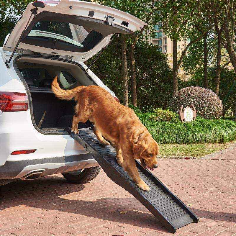 Dog Ramp Foldable Portable Lightweight Ladder