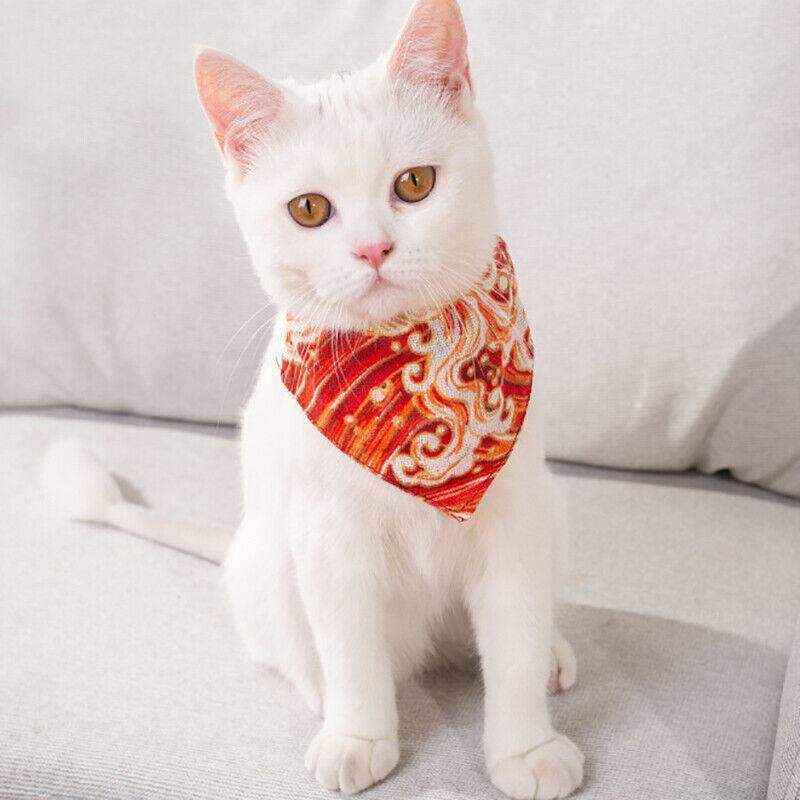 Adjustable Pet Bandana Collar with Personalised Pattern