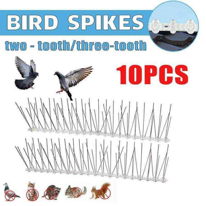 Stainless steel bird deterrent spikes for roof and ledge protection