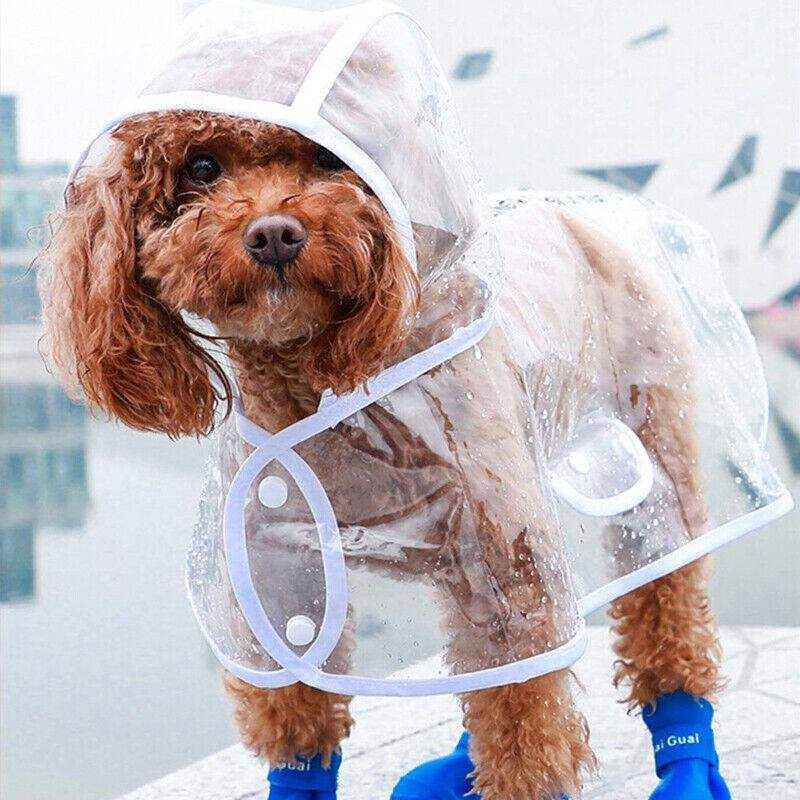 Puppy Waterproof Raincoat
