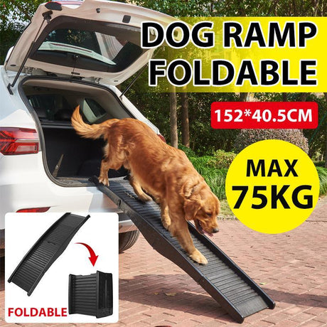 Dog Ramp Foldable Portable Lightweight Ladder