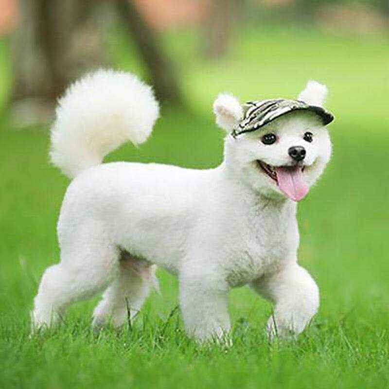 Adjustable Dog Sun Hat with UV Protection
