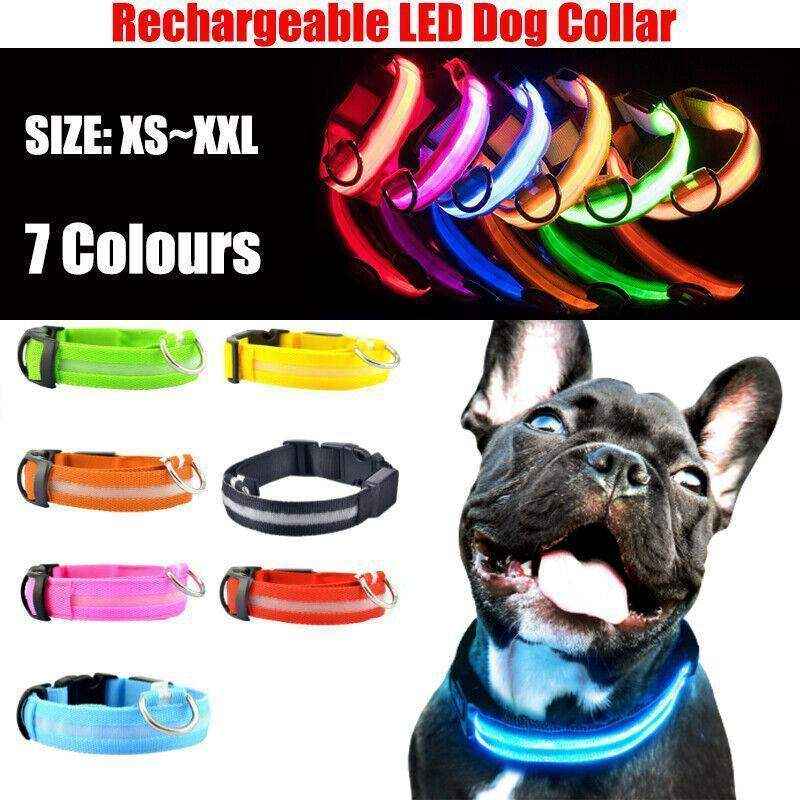 Durable & Waterproof Glow Dog Collar for Pets