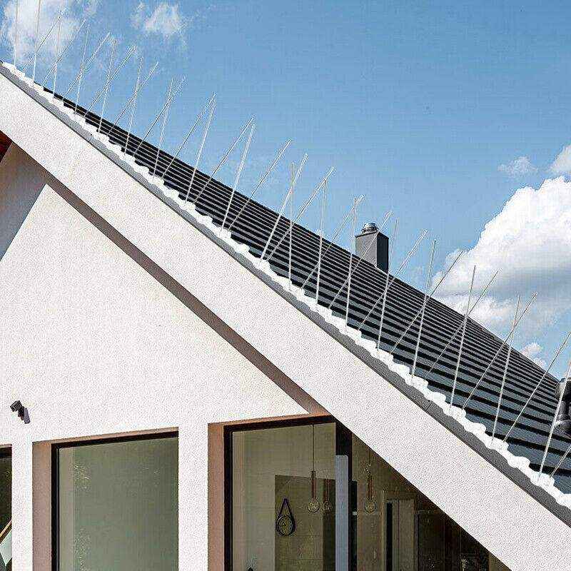 10pcs Stainless Steel Outdoor Bird Deterrent Spikes for Roof & Fence Protection