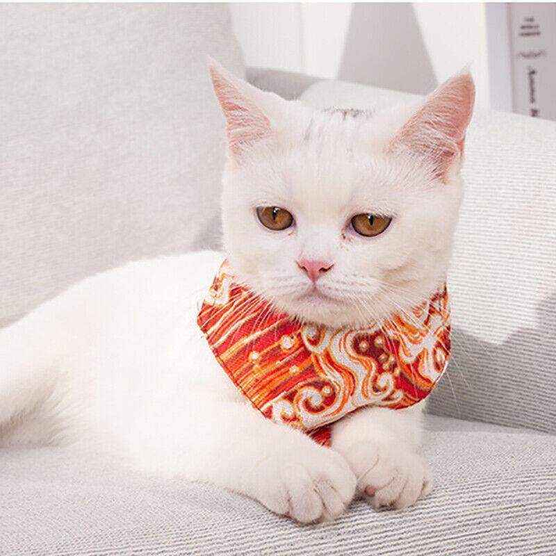 Adjustable Pet Bandana Collar with Personalised Pattern