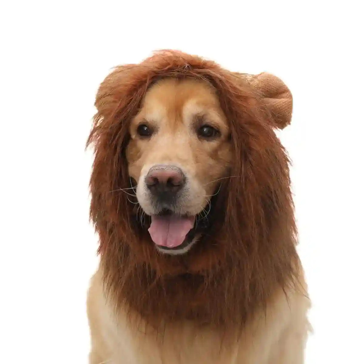 Lion Costume Mane Wig Large Dog Fancy Dress Up Party for Pet Halloween Clothes