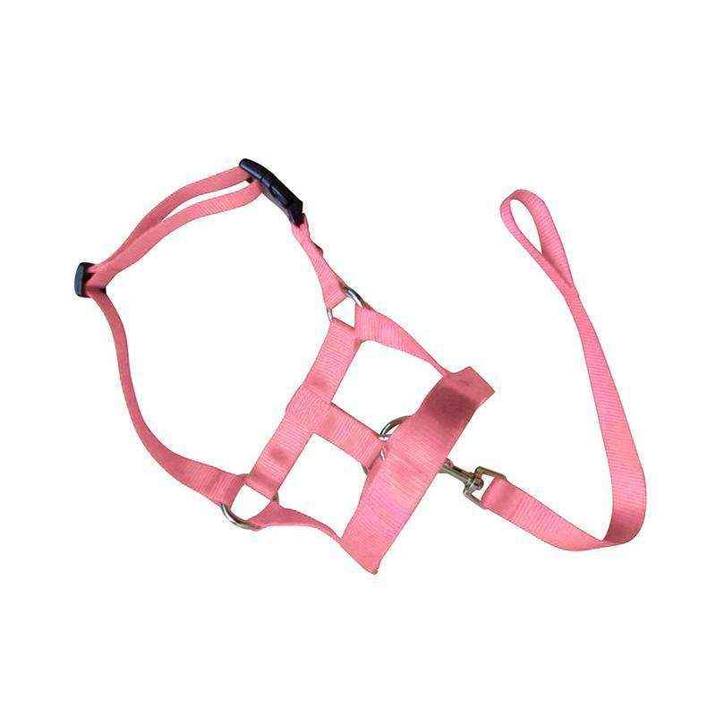 Adjustable Dog Muzzle Head Halter for Anti-Pull Training & Control