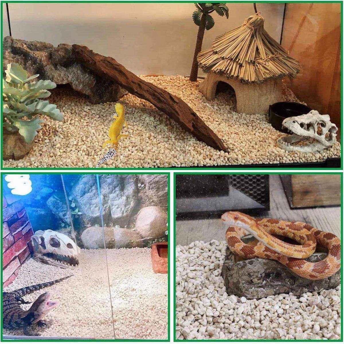 Natural Corn Cob Reptile Bedding Eco-Friendly 1000g Substrate for Reptiles