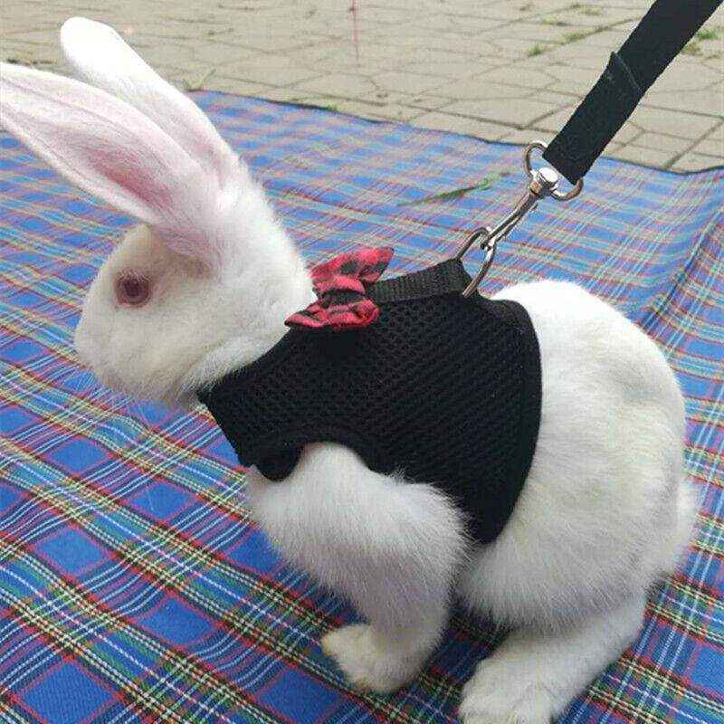 Adjustable Mesh Rabbit Harness with Leash for Small Pets