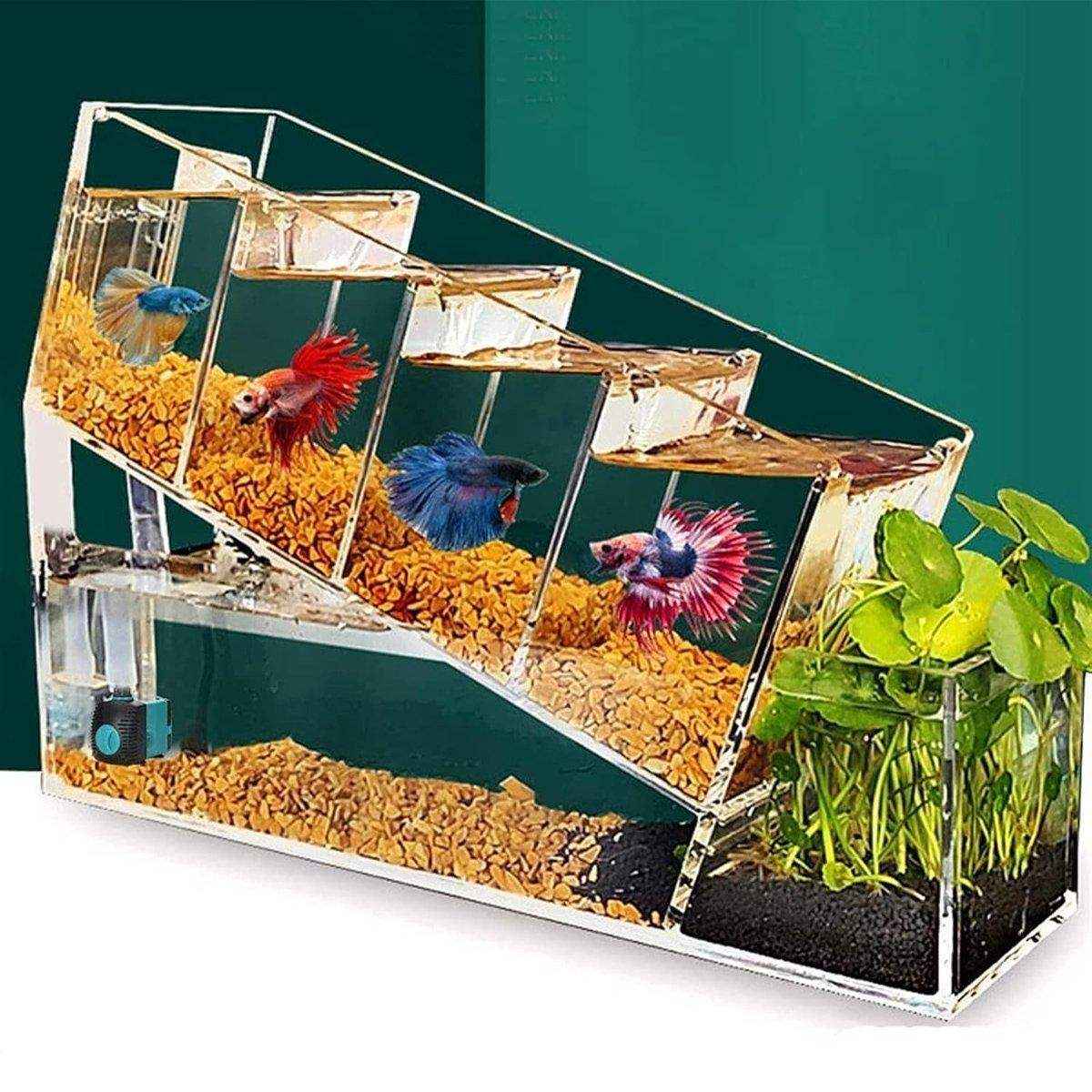 Compact Multi-Cell Desktop Fish Tank with Filtration System