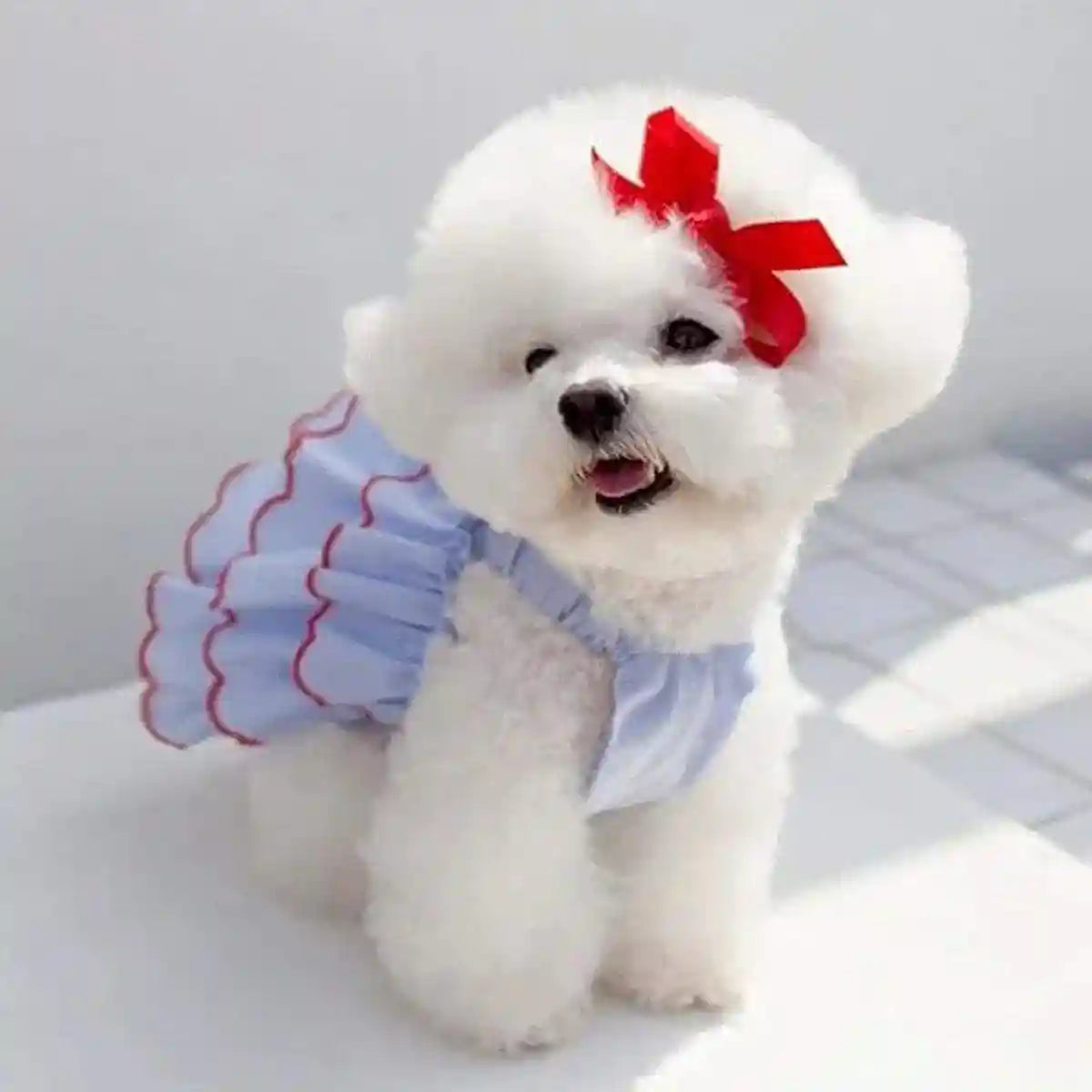 Summer Pet Princess Skirt Cat Dog Dress