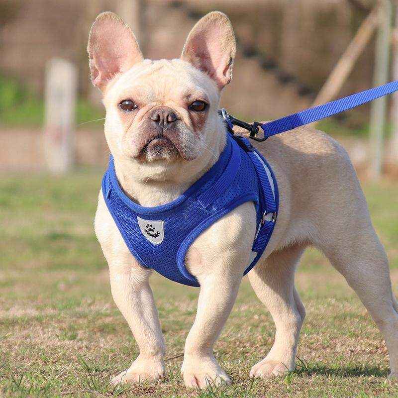 Reflective Dog Cat Pet Harness Leash Puppy Soft Adjustable Vest Mesh Clothes