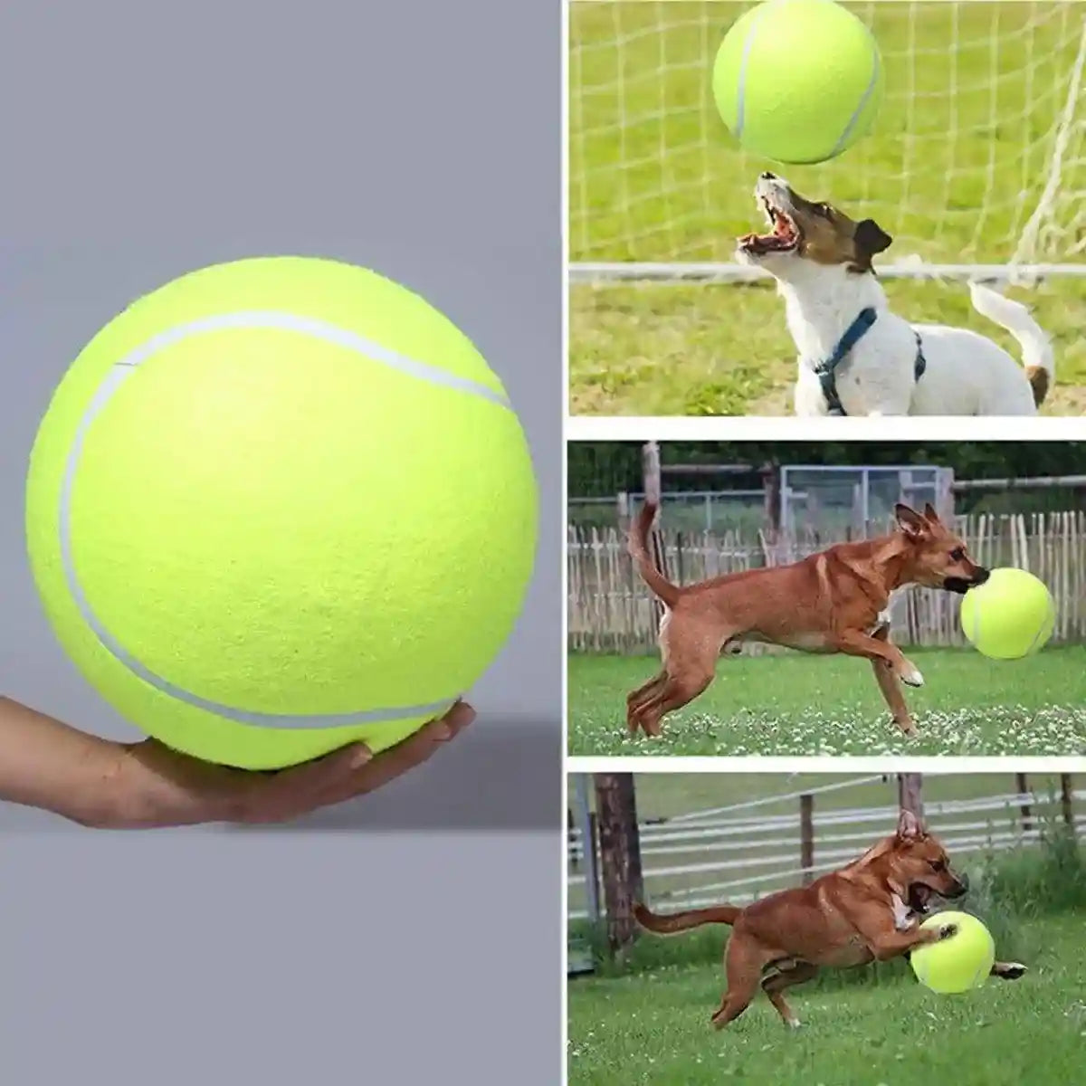 Dog Toy Tennis Ball Safe & Durable Fetch Ball for Small Dogs