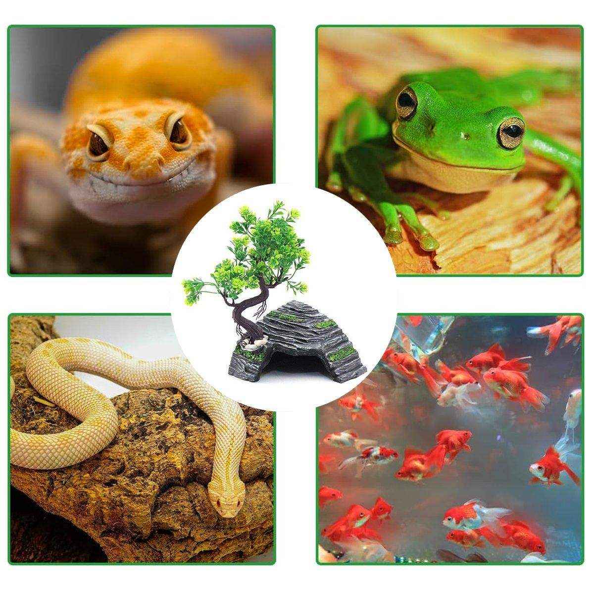 Reptile Hide House Nest Cave Sundeck Shelter for Pets Lizard Snake Habitat