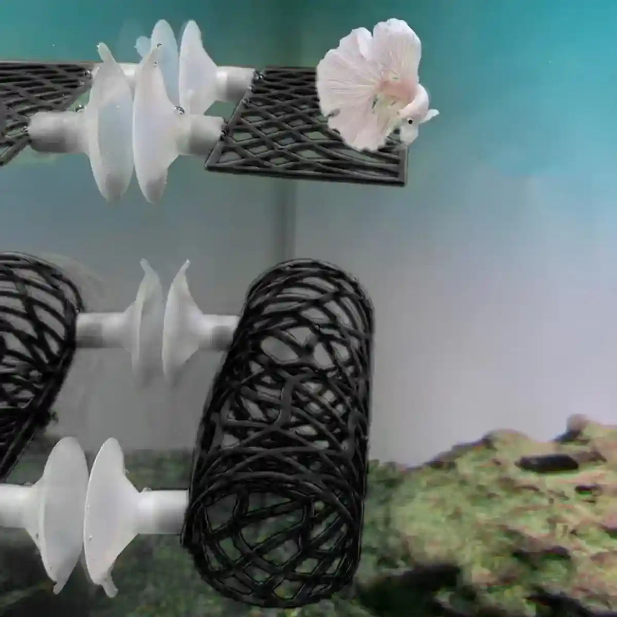 Silicone Fish Hiding Tunnel for Small Fish & Shrimp