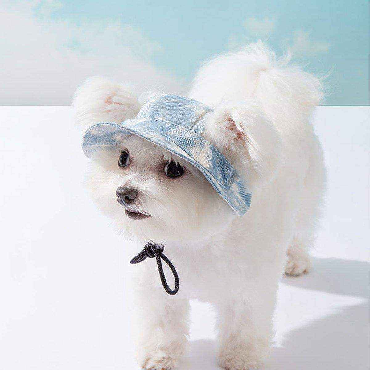 Pet Hat Cute Leaky Ears Anti-shedding Adjustable Fisherman Hat