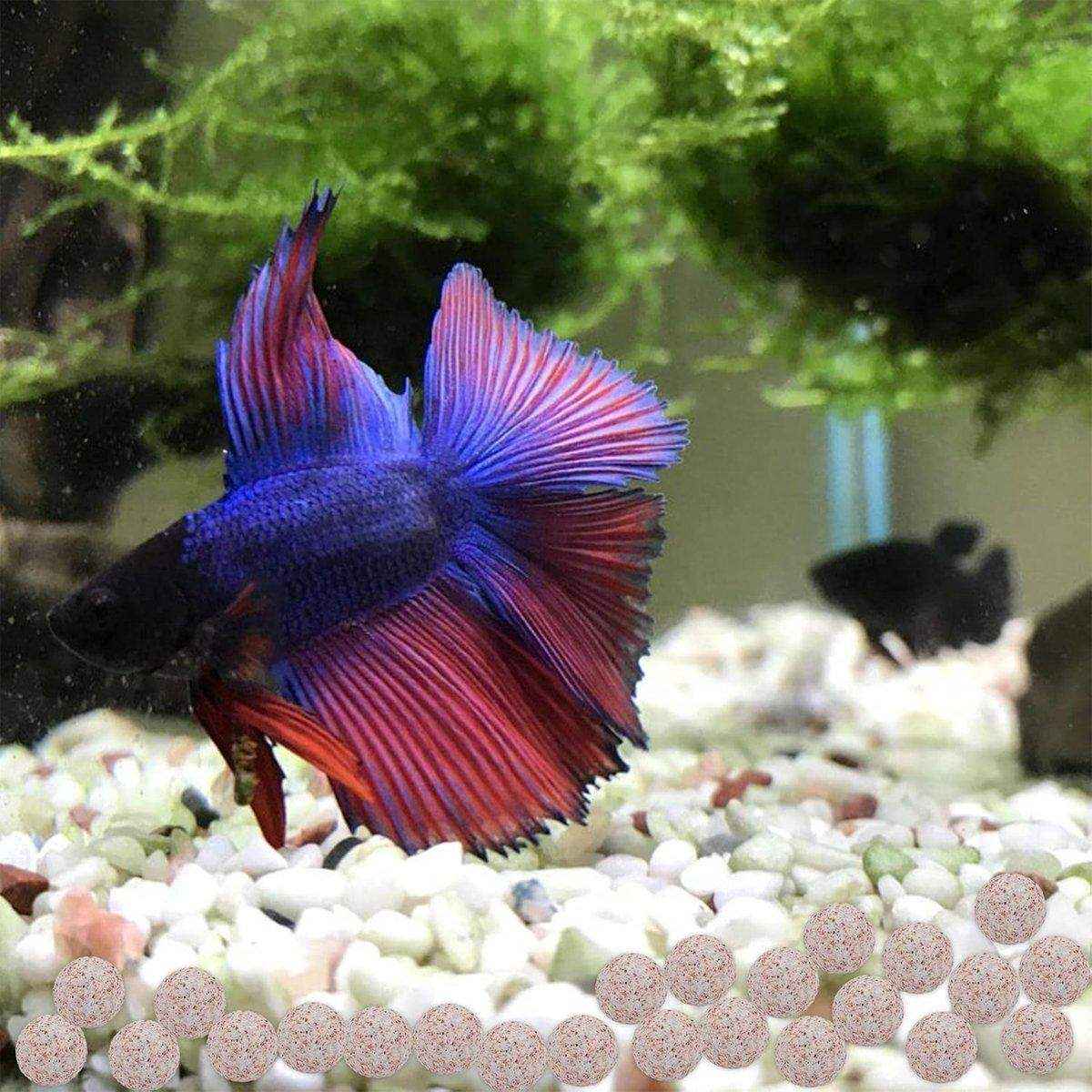 Efficient Fish Tank Filter Media Bacterial House Water Purification Filter Material