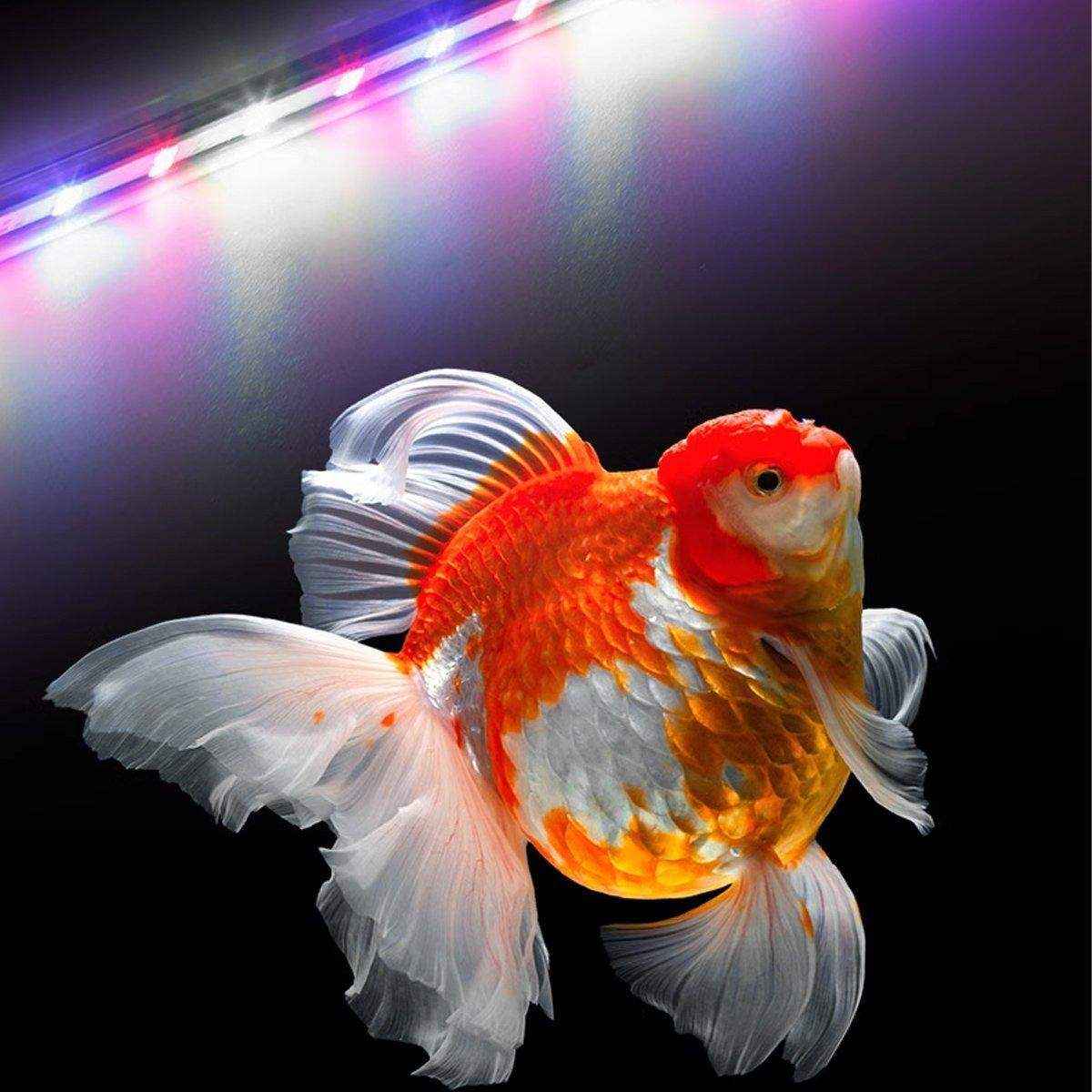 LED Aquarium Light Adjustable Fish Tank Lighting with 3 Modes