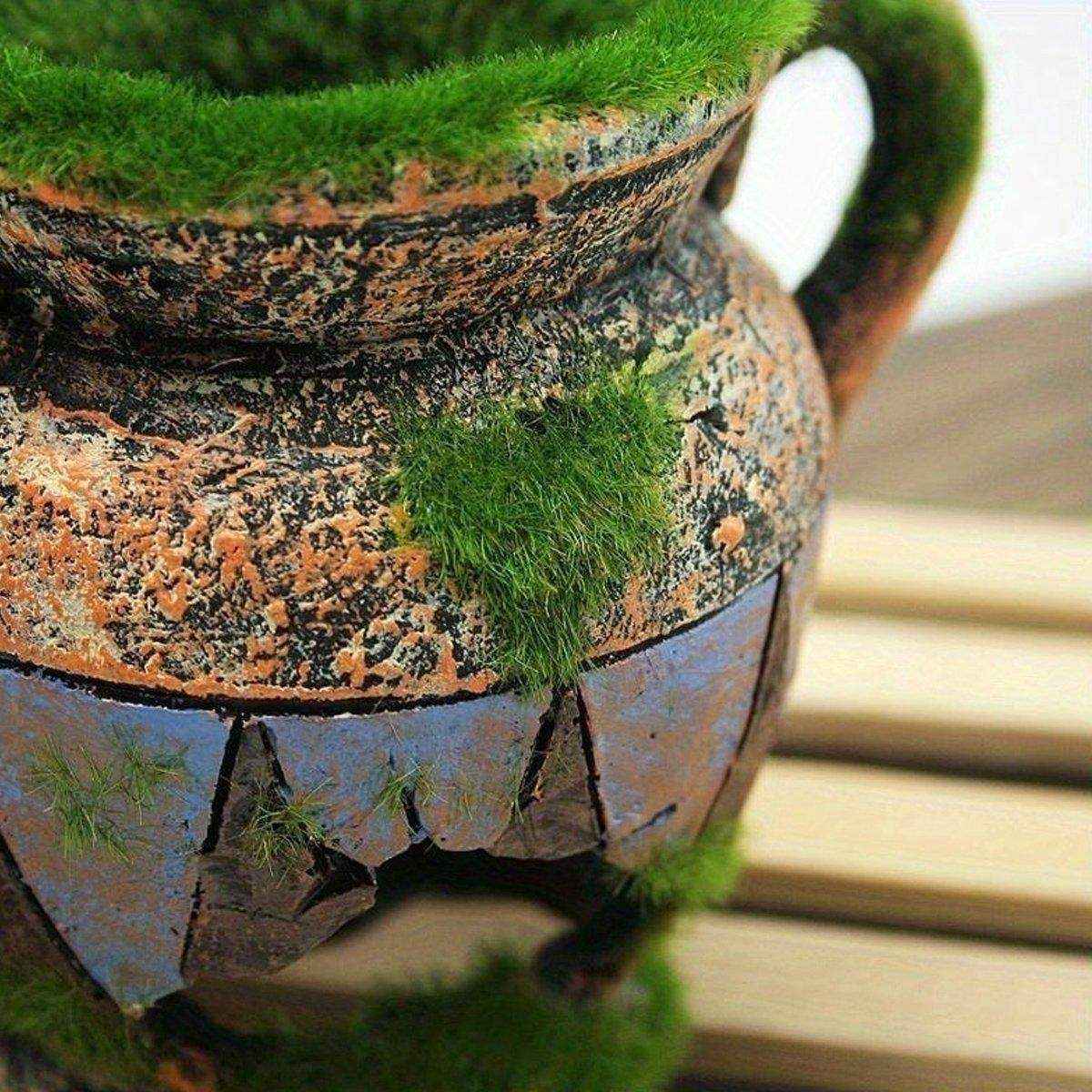 Aquarium Moss Vase Resin Fish & Shrimp Hiding Decoration