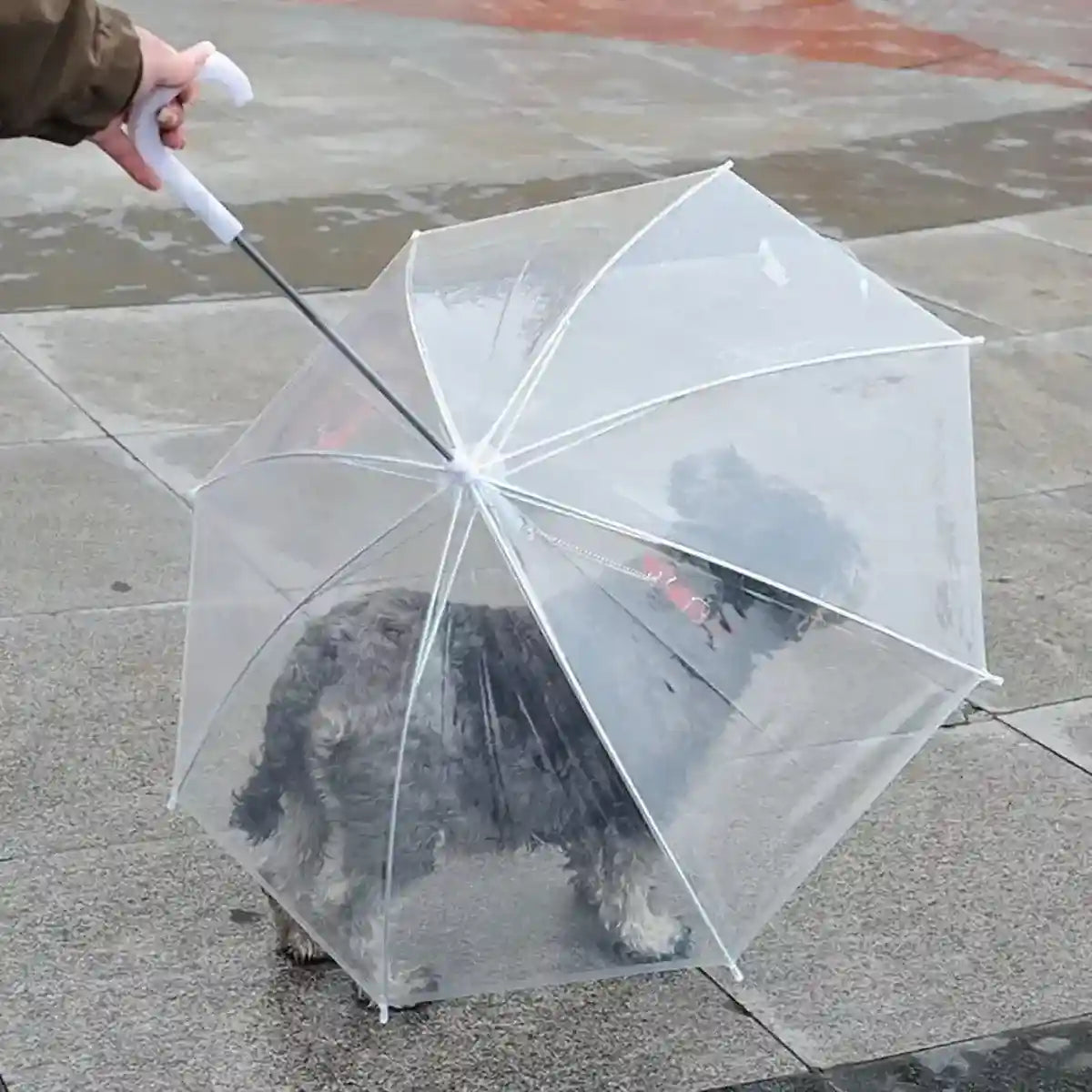 Pet Umbrella with Leash Attachment Keep Your Dog Dry in Style