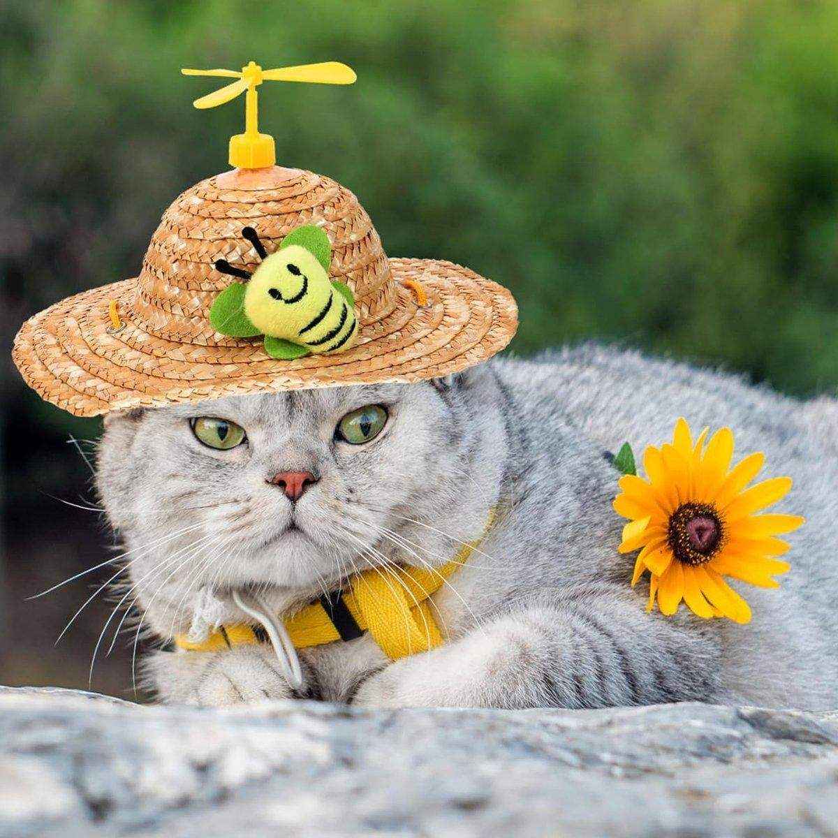 Pet Straw Hat Bamboo Dragonfly Cat And Dog Headwear Puppy Sun Hat Decoration