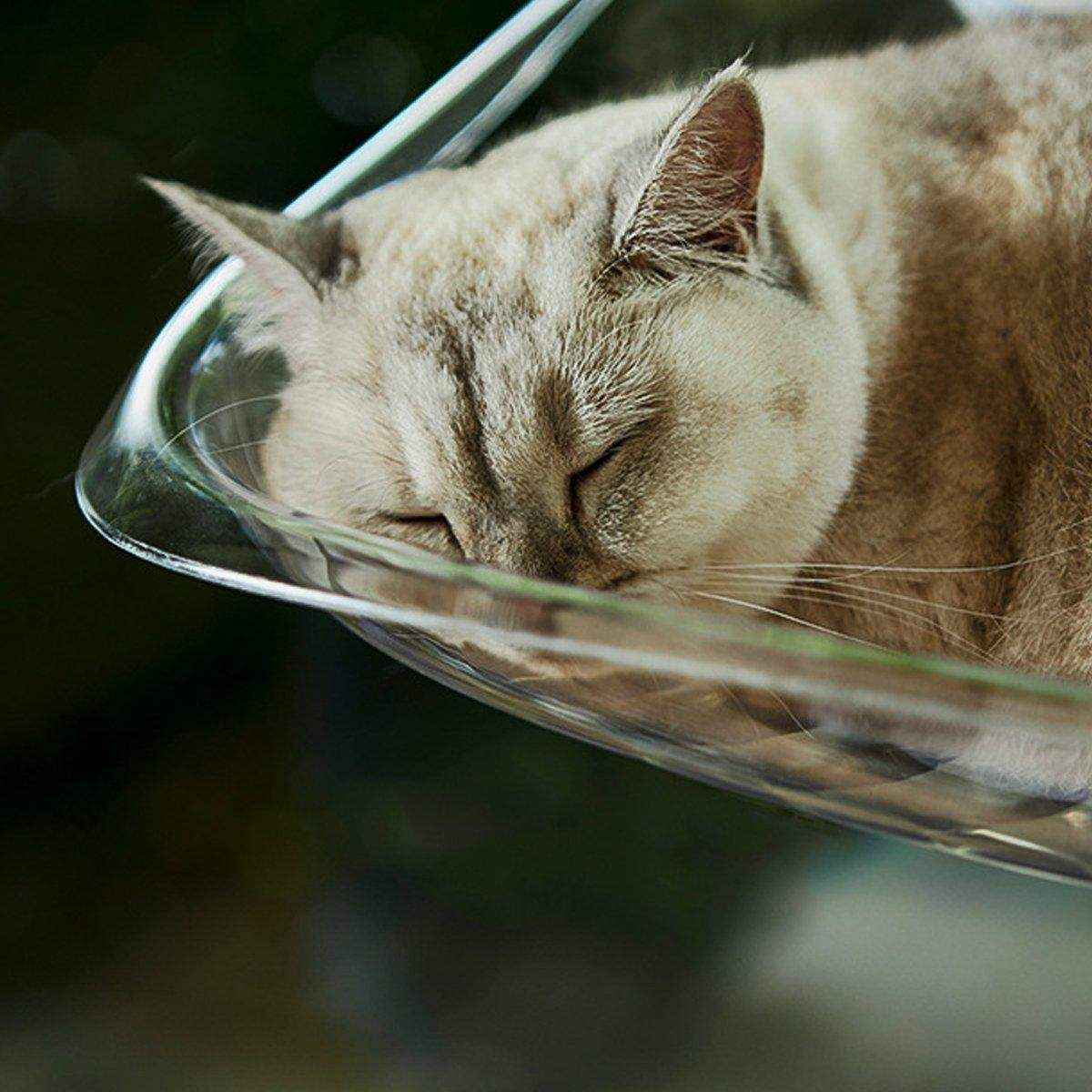 Cat Nest Cat Hammock Space Capsule Cat Bed Window Cat Sunrise Hanging Bed