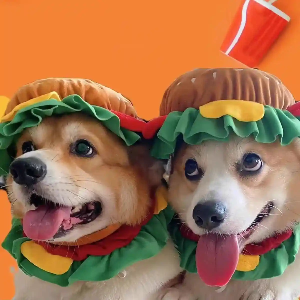 Pet Hamburger Headgear for Cats & Small Dogs