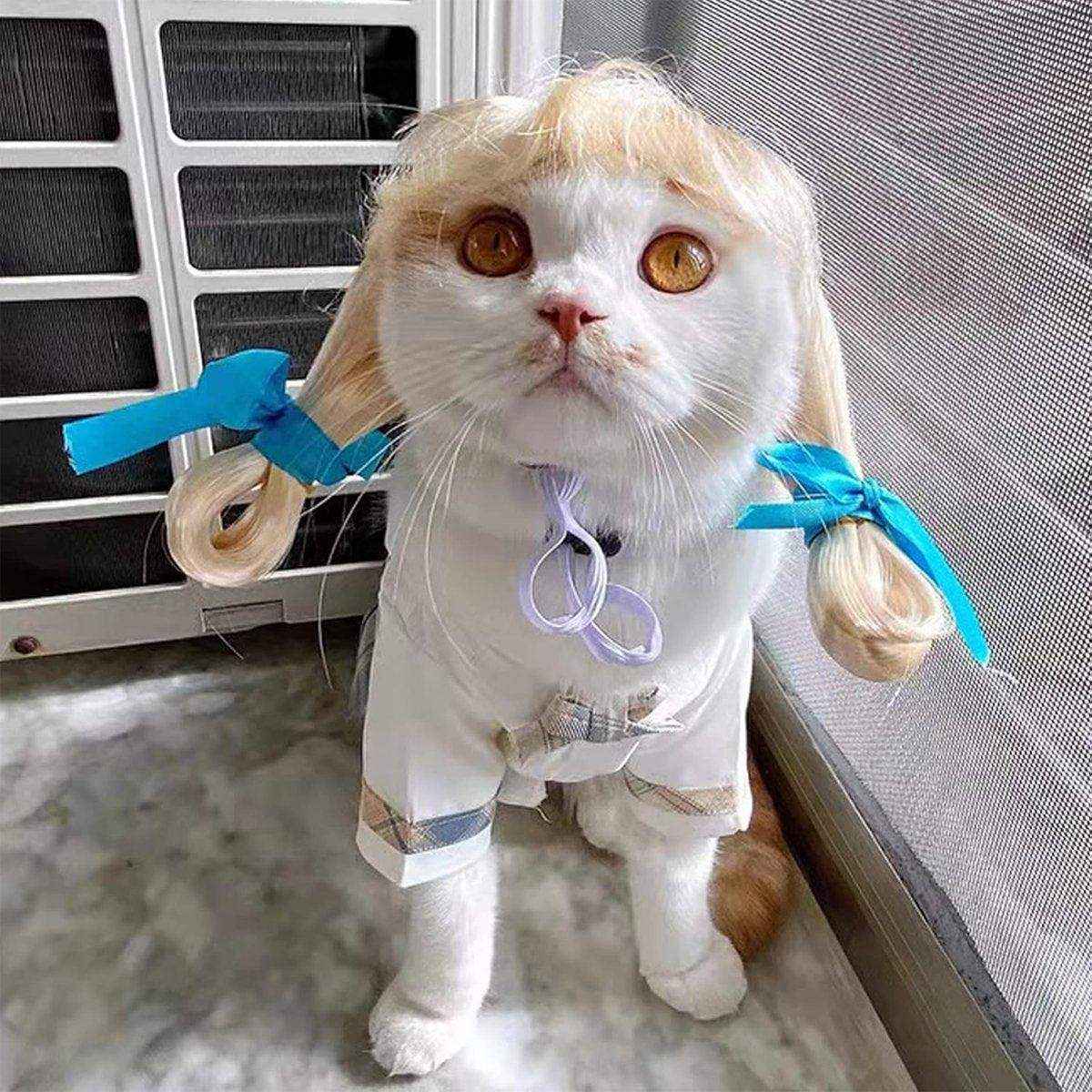 Stylish Funny Pet Wig With Bangs Fun and Comfortable